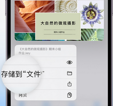 加格达奇apple维修中心分享iPhone文件应用中存储和找到下载文件