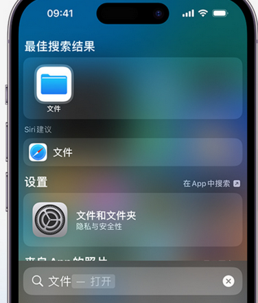 加格达奇apple维修中心分享iPhone文件应用中存储和找到下载文件 