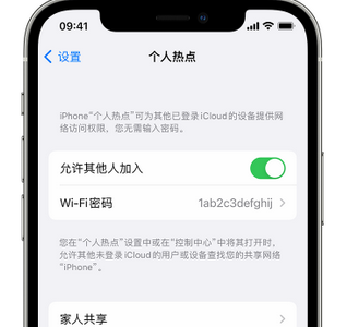 加格达奇apple服务站点分享iPhone上个人热点丢失了怎么办 