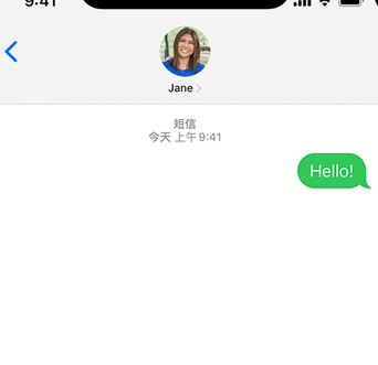 加格达奇apple维修iPhone上无法正常发送iMessage信息