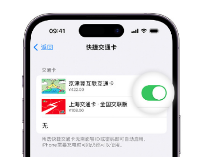 加格达奇apple维修点分享iPhone上更换Apple Pay快捷交通卡手绘卡面 