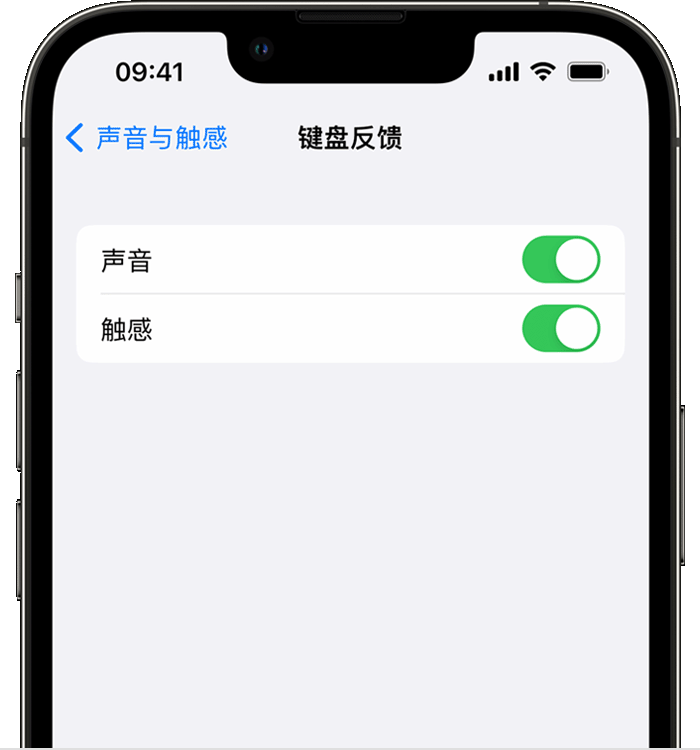 加格达奇苹果14维修店分享如何在 iPhone 14 机型中使用触感键盘 