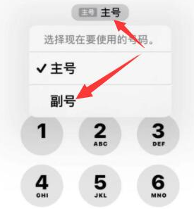 加格达奇苹果14维修店分享iPhone 14 Pro Max使用副卡打电话的方法 