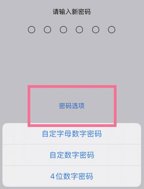 加格达奇苹果14维修分享iPhone 14plus设置密码的方法 