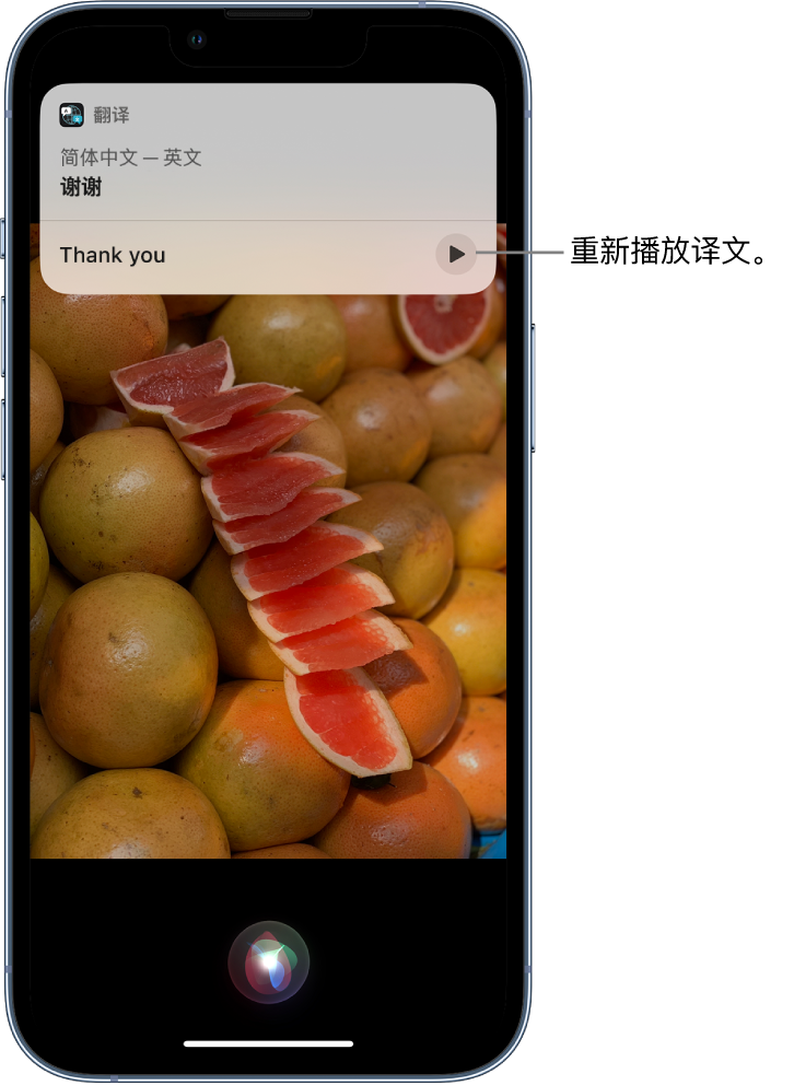 加格达奇苹果14维修分享 iPhone 14 机型中使用 Siri：了解 Siri 能帮你做什么 