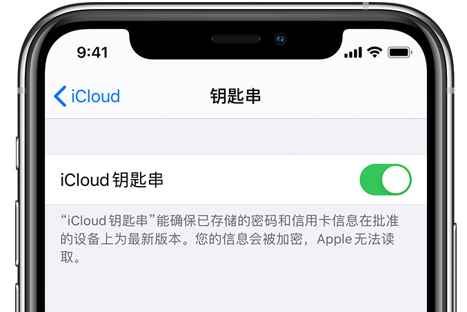 加格达奇苹果手机维修分享在 iPhone 上开启 iCloud 钥匙串之后会储存哪些信息 