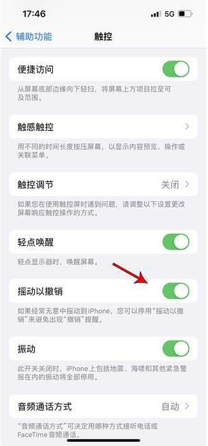 加格达奇苹果手机维修分享iPhone手机如何设置摇一摇删除文字 